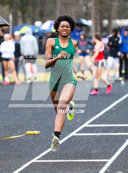 Thumbnail 3 in West Ashley Relays  photogallery.