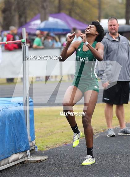 Thumbnail 1 in West Ashley Relays  photogallery.