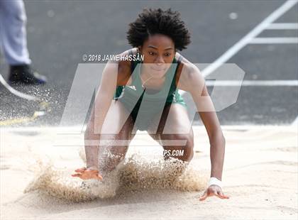 Thumbnail 1 in West Ashley Relays  photogallery.