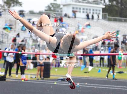 Thumbnail 3 in West Ashley Relays  photogallery.