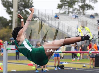Thumbnail 1 in West Ashley Relays  photogallery.