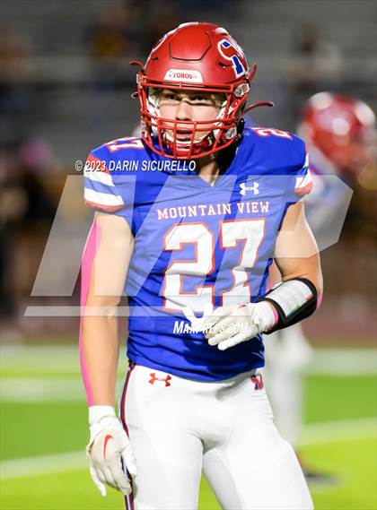 Thumbnail 1 in Tolleson @ Mountain View (Homecoming) photogallery.