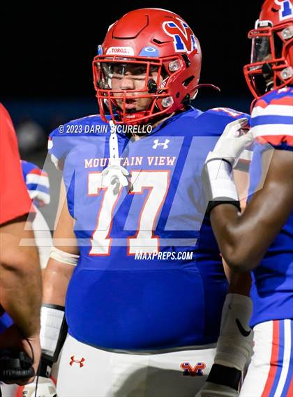 Thumbnail 1 in Tolleson @ Mountain View (Homecoming) photogallery.