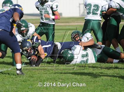 Thumbnail 2 in Schurr @ Alhambra photogallery.