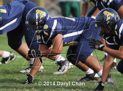 Thumbnail 2 in Schurr @ Alhambra photogallery.