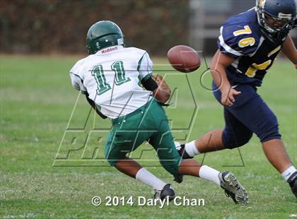 Thumbnail 2 in Schurr @ Alhambra photogallery.