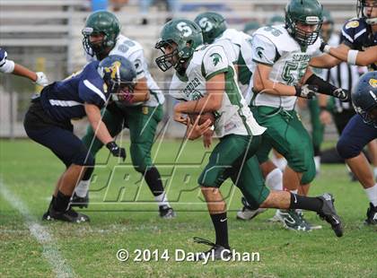 Thumbnail 1 in Schurr @ Alhambra photogallery.