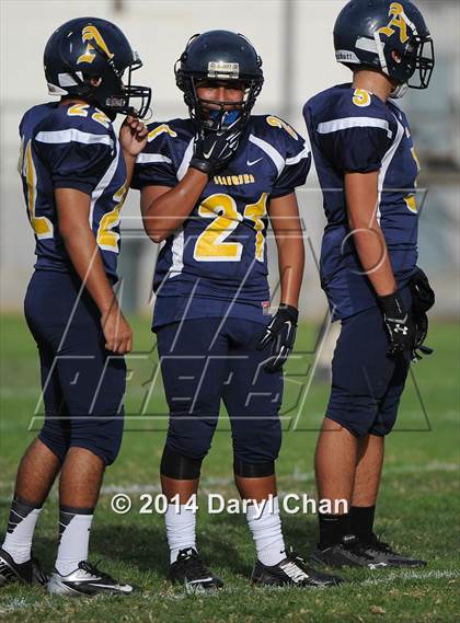 Thumbnail 1 in Schurr @ Alhambra photogallery.