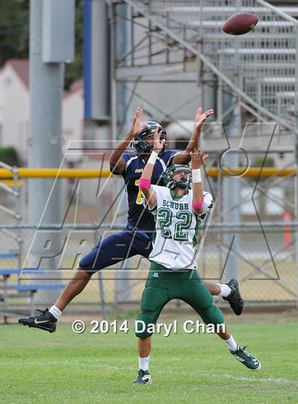 Thumbnail 3 in Schurr @ Alhambra photogallery.