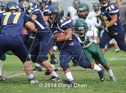 Thumbnail 1 in Schurr @ Alhambra photogallery.