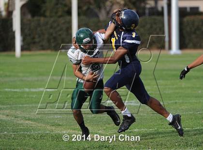 Thumbnail 1 in Schurr @ Alhambra photogallery.