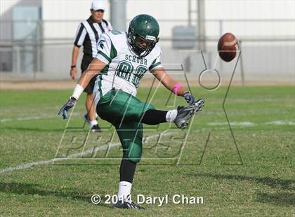Thumbnail 1 in Schurr @ Alhambra photogallery.