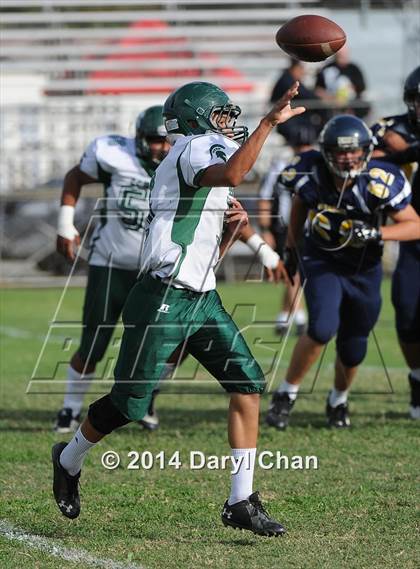 Thumbnail 1 in Schurr @ Alhambra photogallery.
