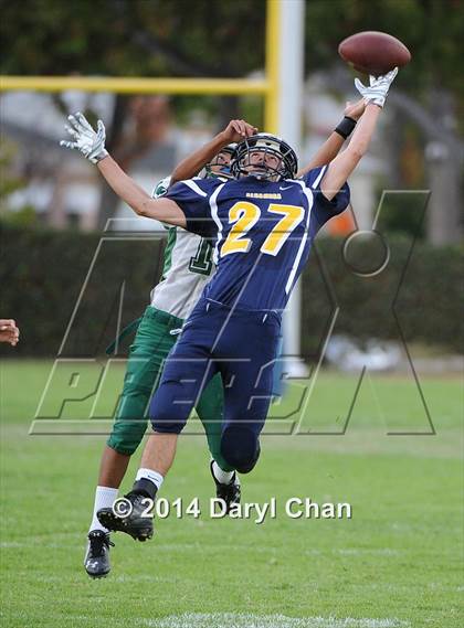 Thumbnail 1 in Schurr @ Alhambra photogallery.