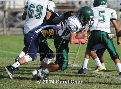 Thumbnail 2 in Schurr @ Alhambra photogallery.