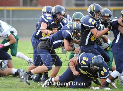 Thumbnail 3 in Schurr @ Alhambra photogallery.