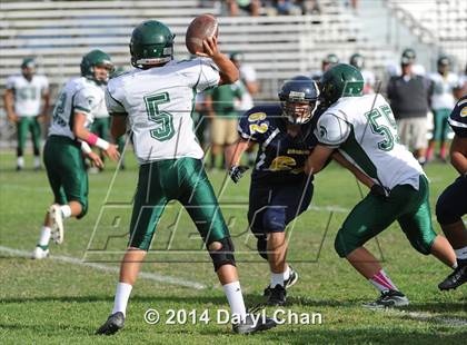 Thumbnail 2 in Schurr @ Alhambra photogallery.