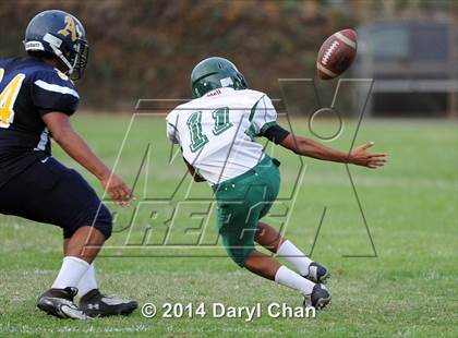 Thumbnail 3 in Schurr @ Alhambra photogallery.