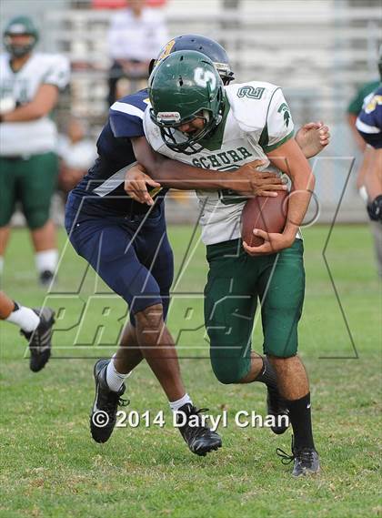 Thumbnail 2 in Schurr @ Alhambra photogallery.