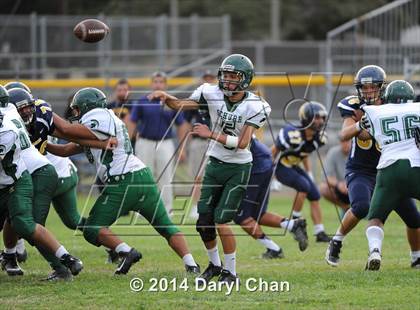 Thumbnail 1 in Schurr @ Alhambra photogallery.