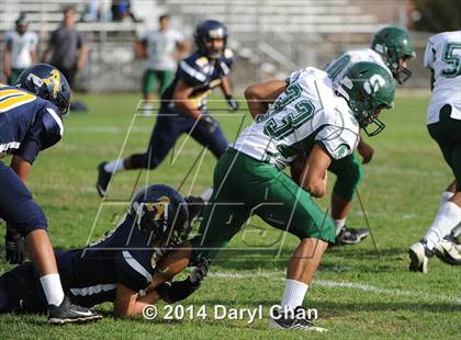 Thumbnail 2 in Schurr @ Alhambra photogallery.