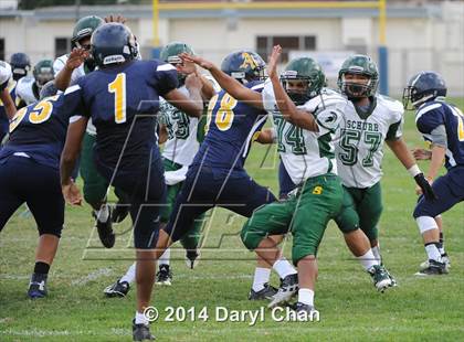 Thumbnail 2 in Schurr @ Alhambra photogallery.