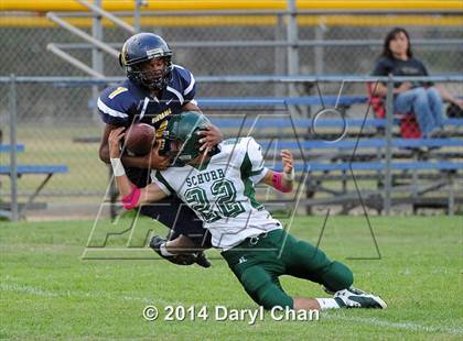 Thumbnail 2 in Schurr @ Alhambra photogallery.
