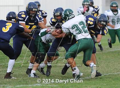 Thumbnail 1 in Schurr @ Alhambra photogallery.