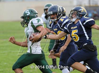 Thumbnail 3 in Schurr @ Alhambra photogallery.