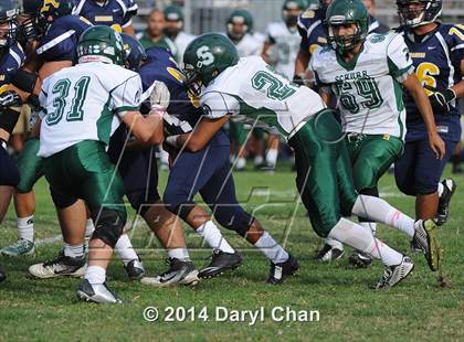 Thumbnail 1 in Schurr @ Alhambra photogallery.