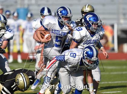 Thumbnail 1 in    Fairfield Ludlowe @ Trumbull  photogallery.