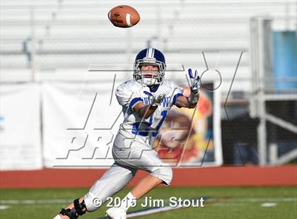 Thumbnail 1 in    Fairfield Ludlowe @ Trumbull  photogallery.