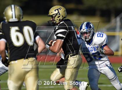 Thumbnail 1 in    Fairfield Ludlowe @ Trumbull  photogallery.
