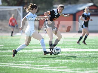 Thumbnail 3 in Archbishop Mitty @ Los Gatos (CIF-CCS Open Division Quarterfinal) photogallery.
