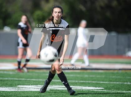Thumbnail 1 in Archbishop Mitty @ Los Gatos (CIF-CCS Open Division Quarterfinal) photogallery.