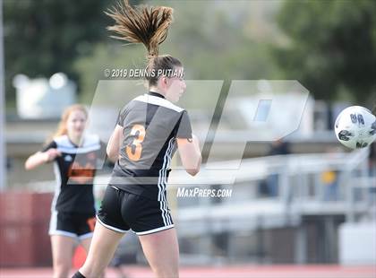Thumbnail 3 in Archbishop Mitty @ Los Gatos (CIF-CCS Open Division Quarterfinal) photogallery.