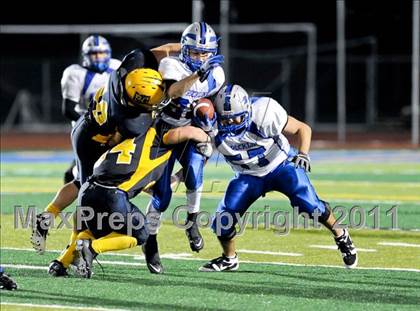 Thumbnail 1 in Rocklin @ River City (CIF SJS Playoffs) photogallery.