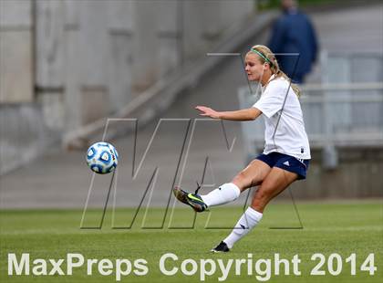 Thumbnail 1 in Columbine vs. Ralston Valley (CHSAA 5A Final) photogallery.