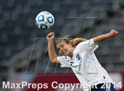 Thumbnail 1 in Columbine vs. Ralston Valley (CHSAA 5A Final) photogallery.