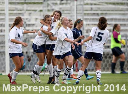 Thumbnail 1 in Columbine vs. Ralston Valley (CHSAA 5A Final) photogallery.