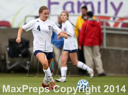 Thumbnail 1 in Columbine vs. Ralston Valley (CHSAA 5A Final) photogallery.