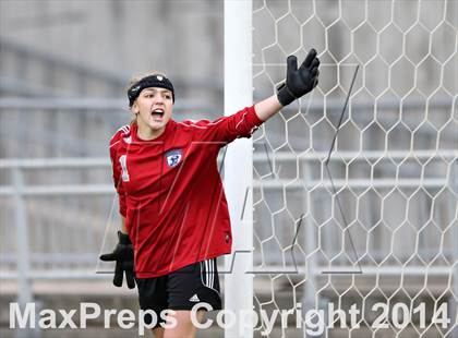 Thumbnail 3 in Columbine vs. Ralston Valley (CHSAA 5A Final) photogallery.