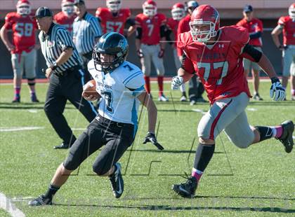 Thumbnail 2 in Vista Ridge @ Liberty photogallery.