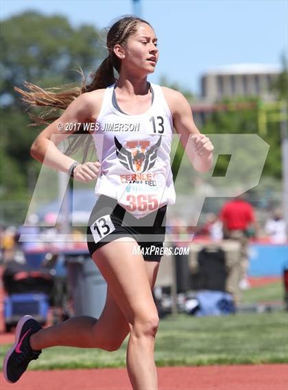 Thumbnail 3 in Sacramento Meet of Champions photogallery.