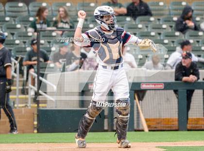 Thumbnail 1 in Perry @ Basha photogallery.