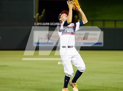 Thumbnail 1 in Perry @ Basha photogallery.
