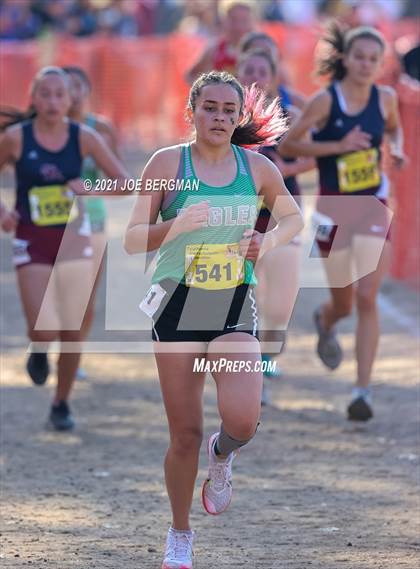 Thumbnail 3 in CIF State Cross Country Championships (Girls D2 Race) photogallery.