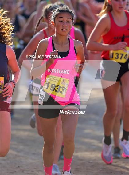 Thumbnail 1 in CIF State Cross Country Championships (Girls D2 Race) photogallery.