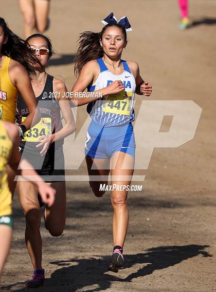 Thumbnail 1 in CIF State Cross Country Championships (Girls D2 Race) photogallery.