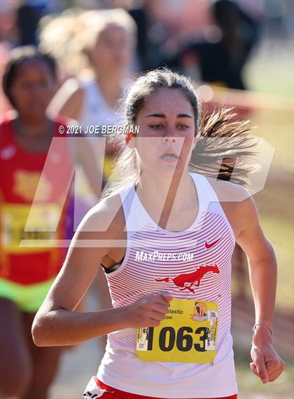 Thumbnail 2 in CIF State Cross Country Championships (Girls D2 Race) photogallery.